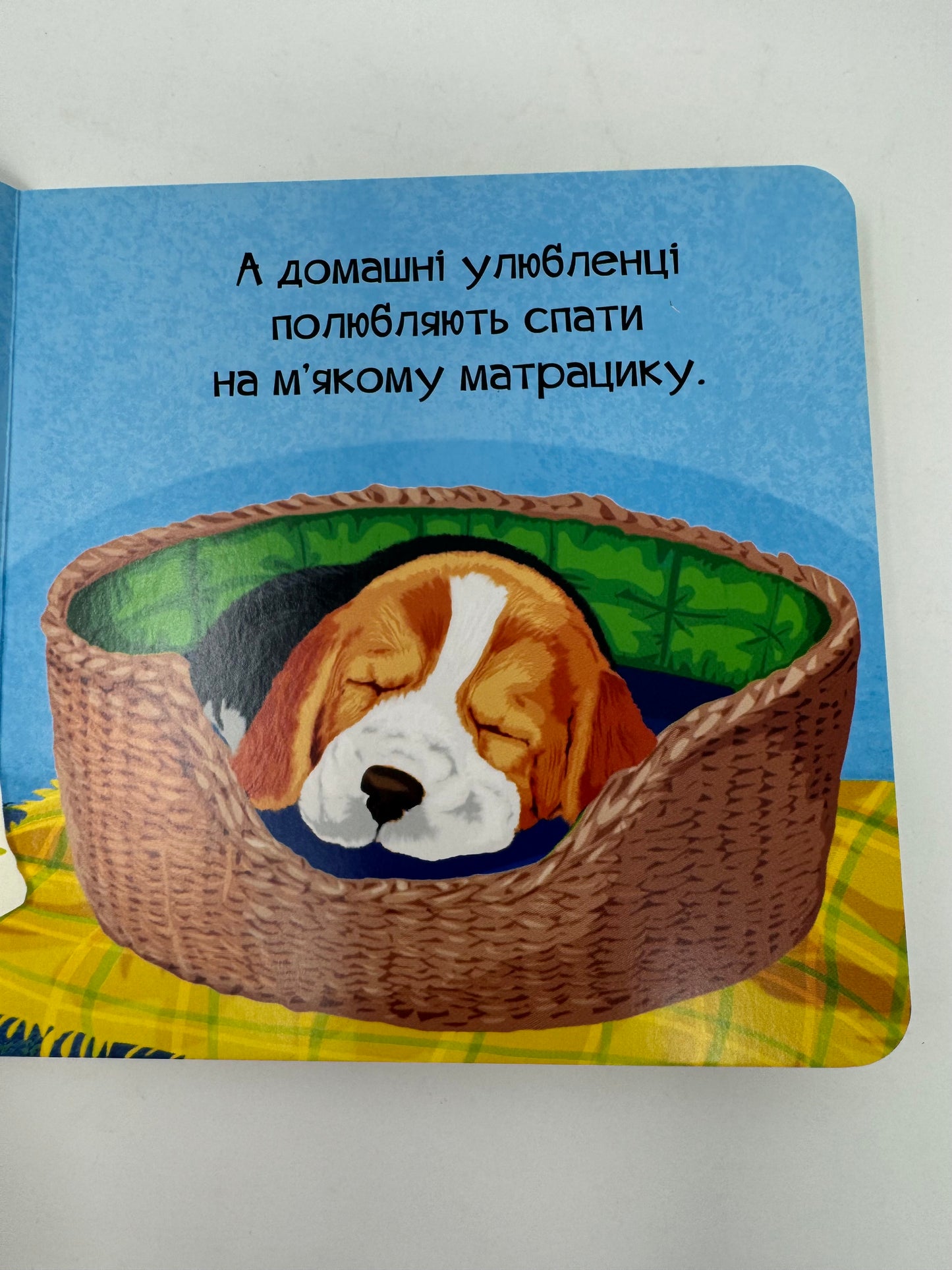 Знайомся, я цуценя. Марія Жученко / Книжечки для найменших українською