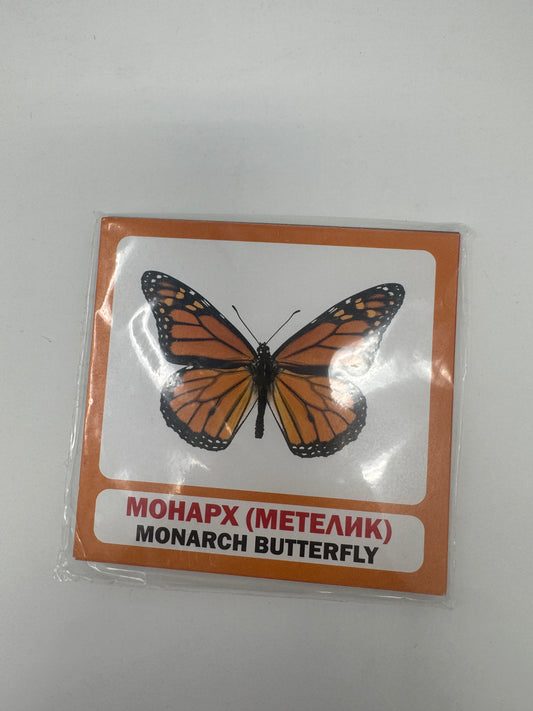 Комахи. Insects. Двомовні картки (українська/англійська) / Двомовні картки Домана в США. Bilingual cards