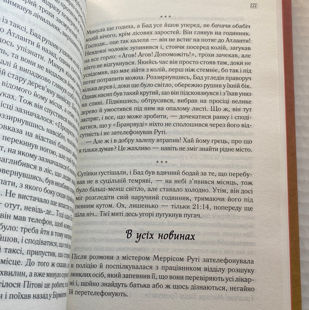 Чудовий хлопець із кафе «Зупинка». Фенні Флеґґ / Світові бестселери українською