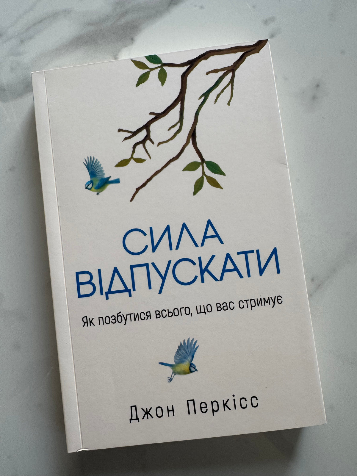Сила відпускати. Як позбутися всього, що вас стримує. Джон Перкісс / Книги купити по саморозвитку в США українською