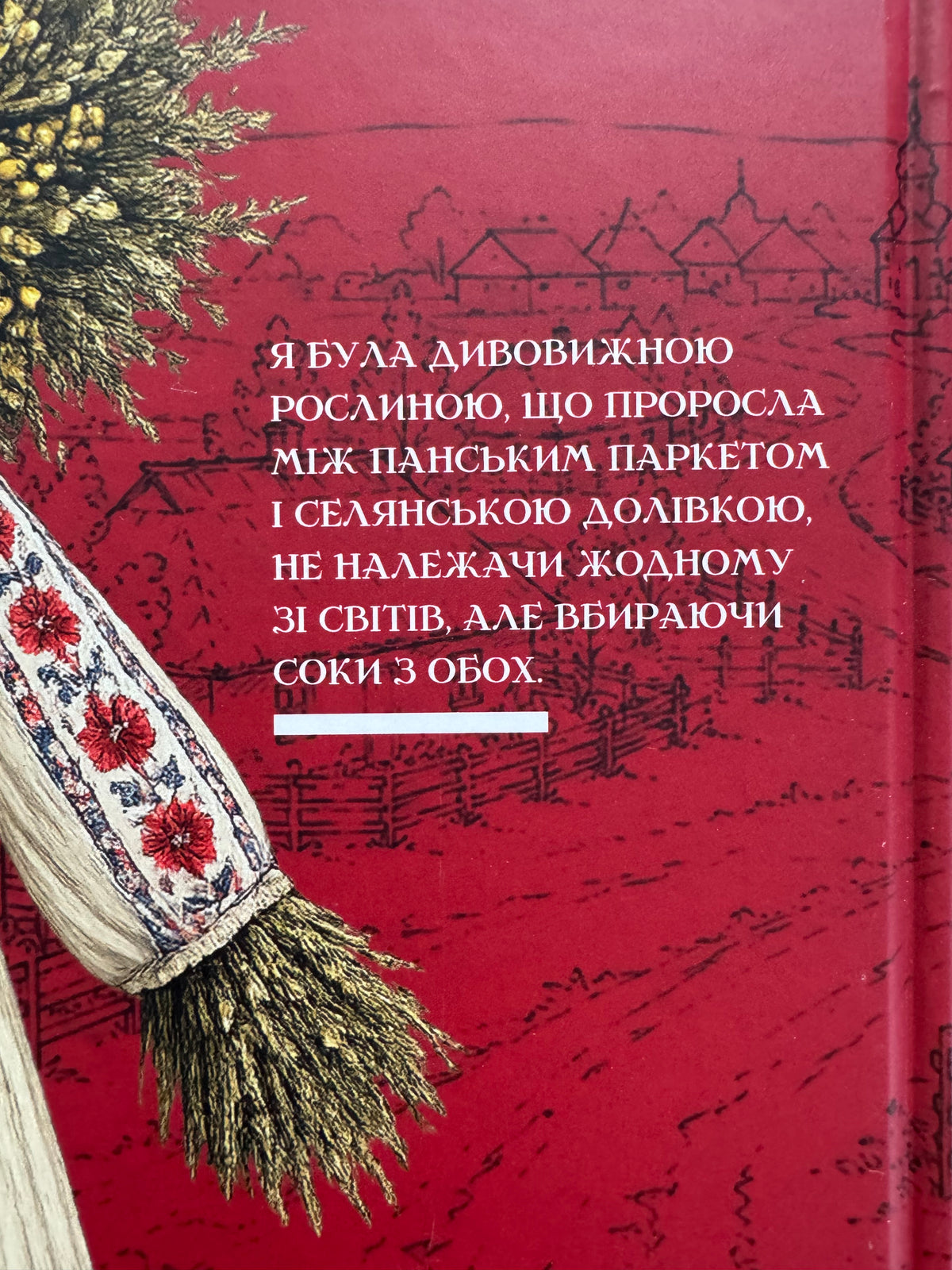 Донька землі. Максим Бутченко / Сучасні українські романи про минуле