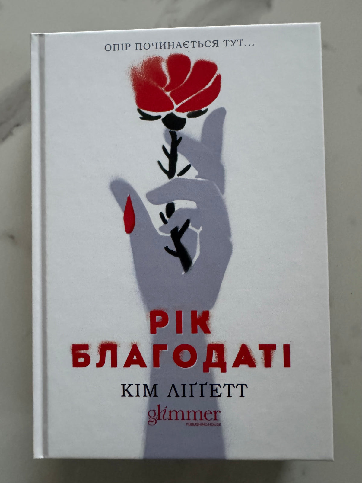 Рік Благодаті. Кім Ліґґетт / Сучасні романи та книги про жінок