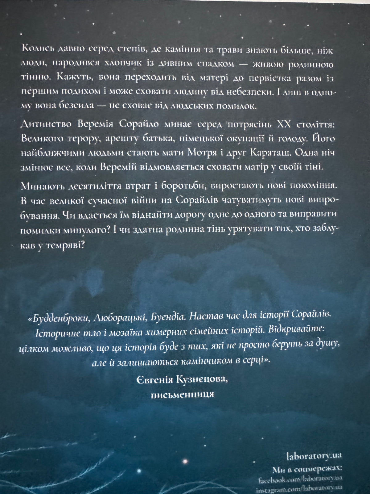 Тінь Малої Ведмедиці. Степовий роман. Дарія Тепла / Книги українських авторів купити в США