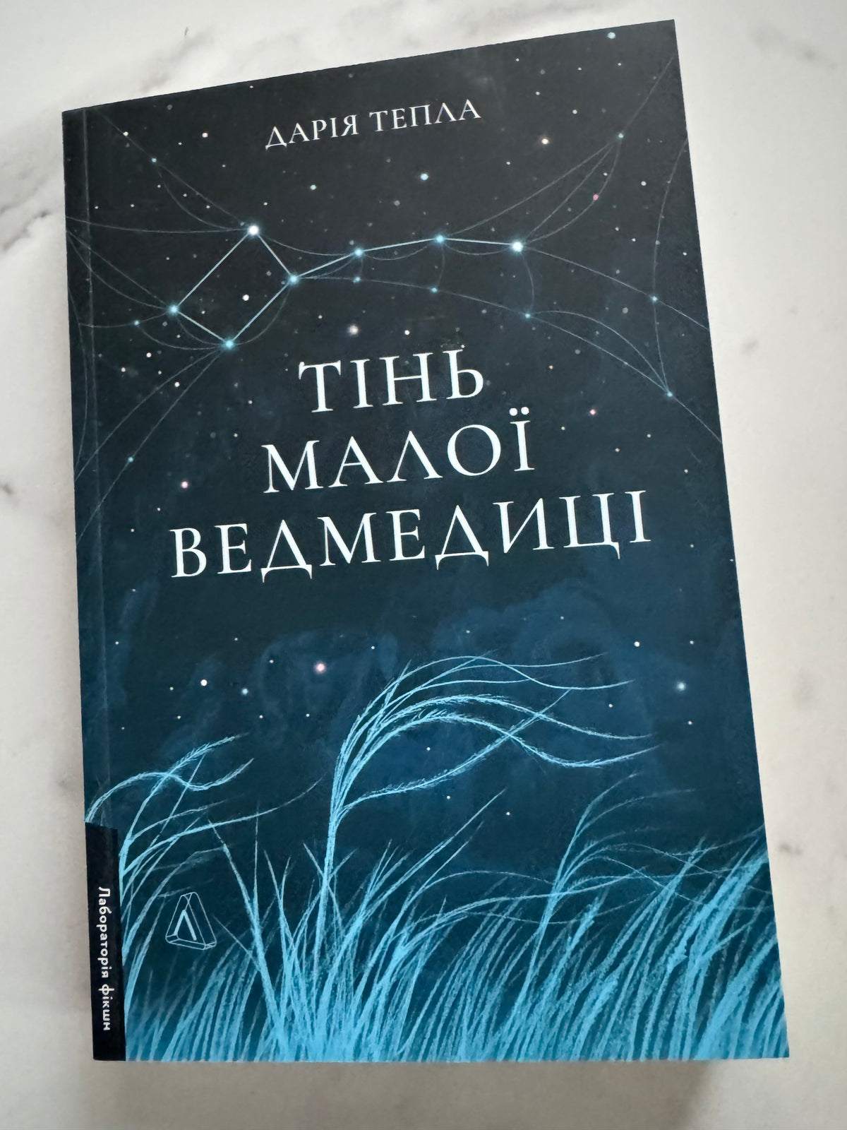 Тінь Малої Ведмедиці. Степовий роман. Дарія Тепла / Книги українських авторів купити в США