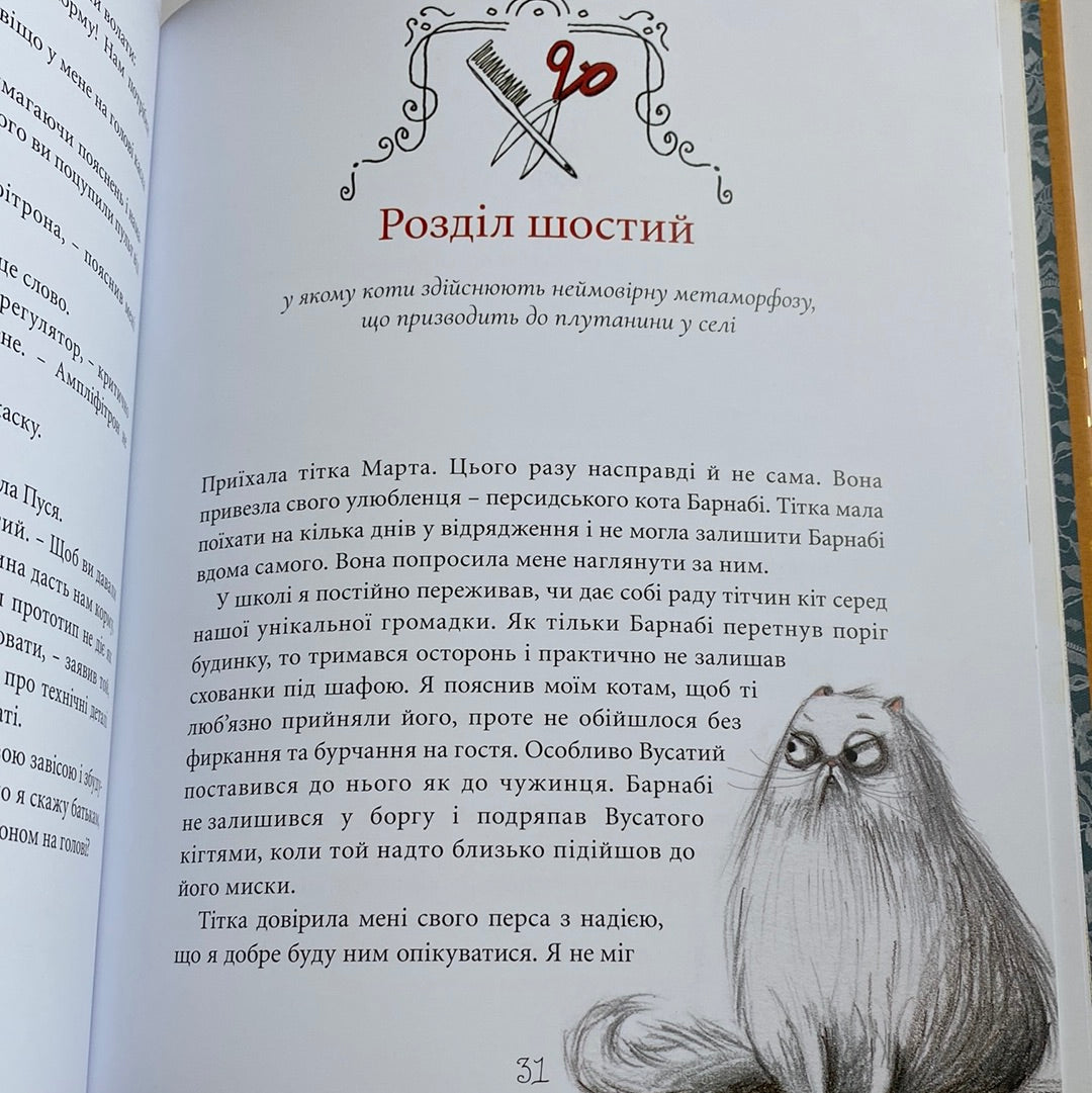 Веселі випадки котячої громадки. Аґнєшка Стельмашик / Книги про котів для дітей українською