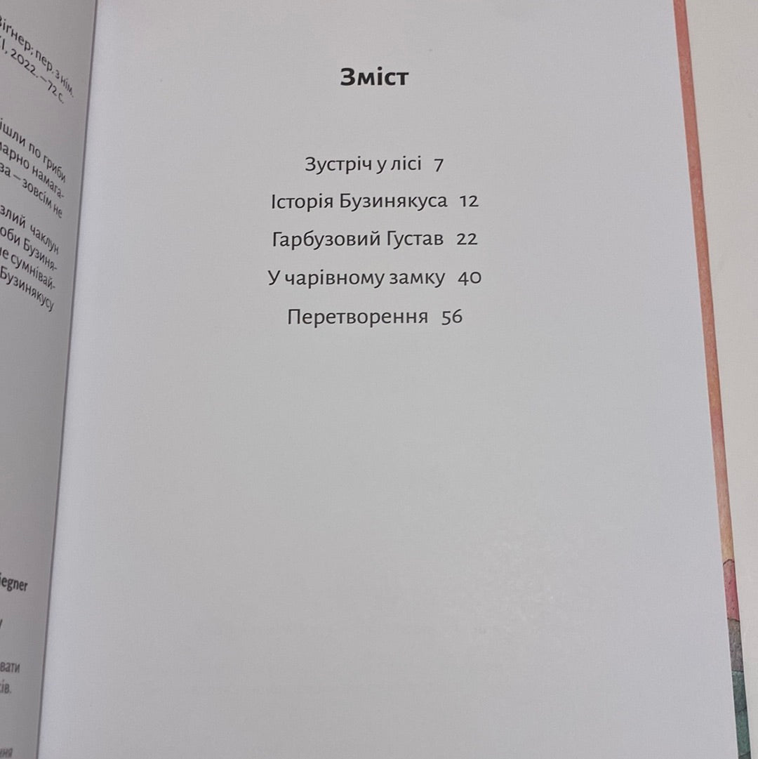 Дракончик Кокос і великий чарівник. Інґо Зіґнер / Книги для дітей про драконів