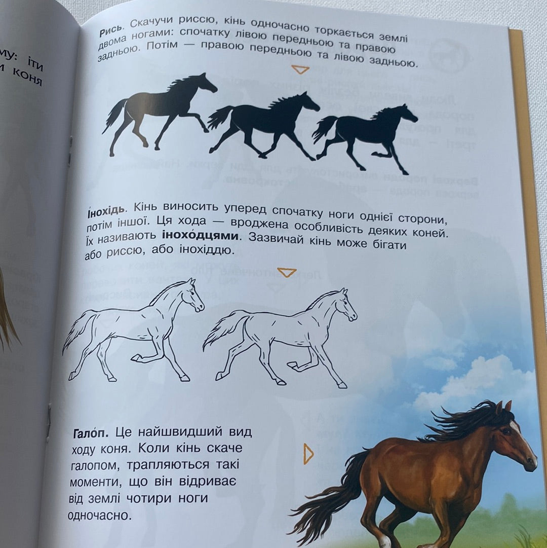 Коні. Енциклопедія дошкільника / Пізнавальні книги для дітей
