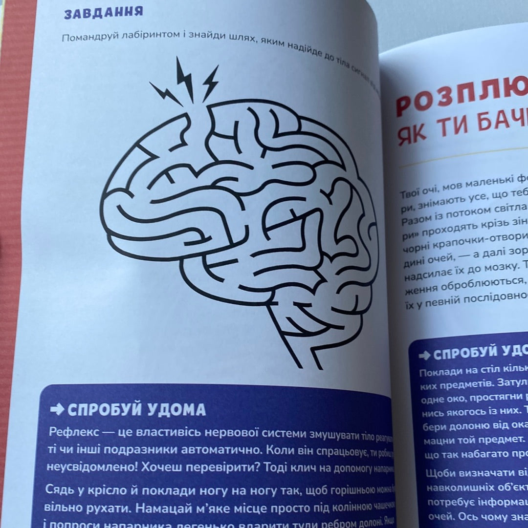 Тіло людини. Книжка з розвивальними завданнями для дітей. Кеті Стокс / Пізнавальні книги для дітей українською