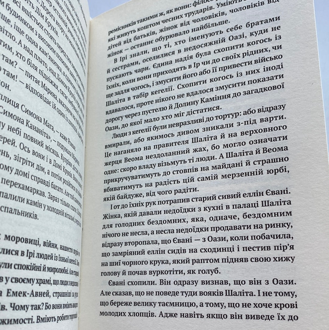 Камінна оргія. Роман-притча. Євгенія Кононенко / Сучасна українська проза