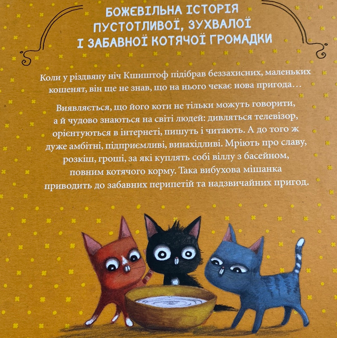 Веселі випадки котячої громадки. Аґнєшка Стельмашик / Книги про котів для дітей українською