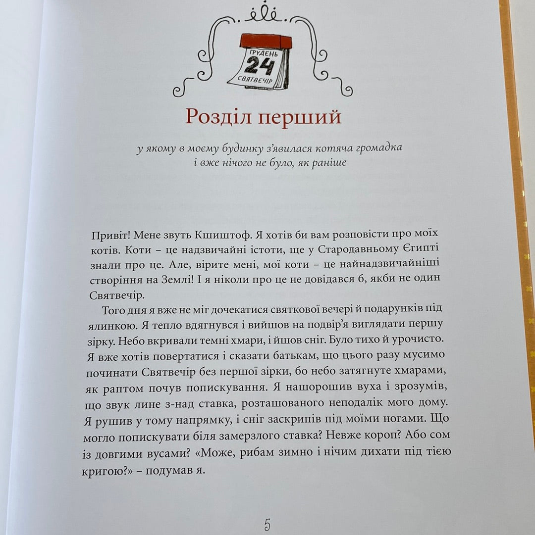 Веселі випадки котячої громадки. Аґнєшка Стельмашик / Книги про котів для дітей українською