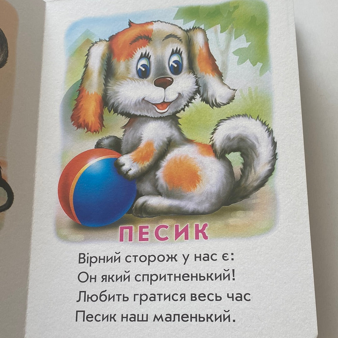 Хто це? Малята. Марія Морозенко / Board books for kids