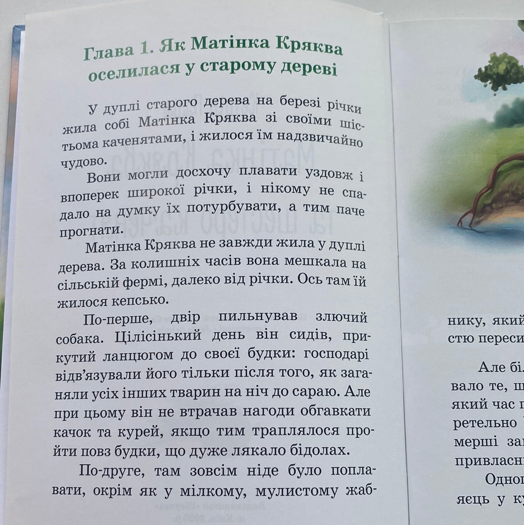 Матінка Кряква та шестеро каченят. Кетрін Пайл / Книги для дітей в США