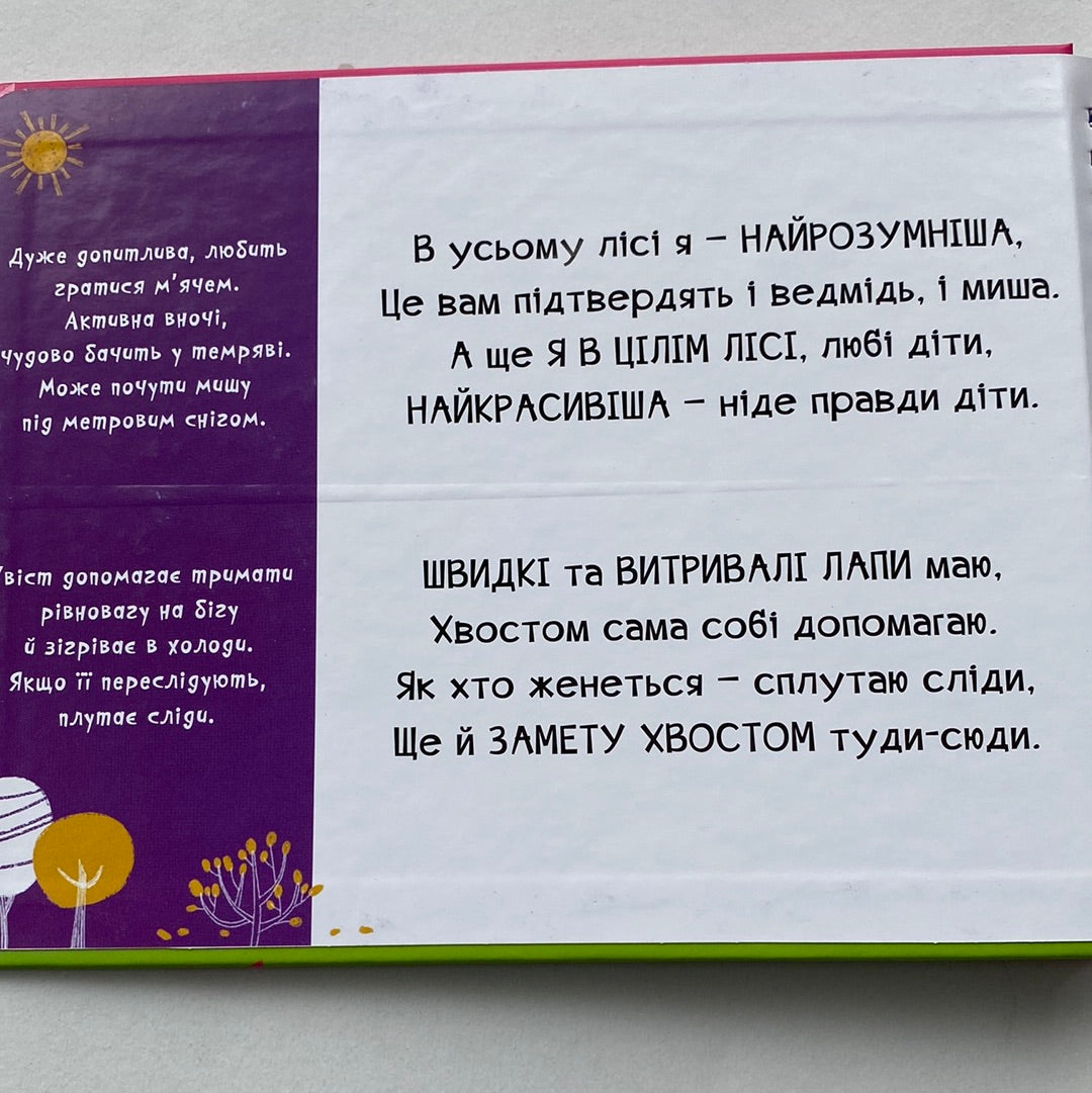 Тваринки-половинки. У лісі. Василь Федієнко / Подарункові книги для малюків