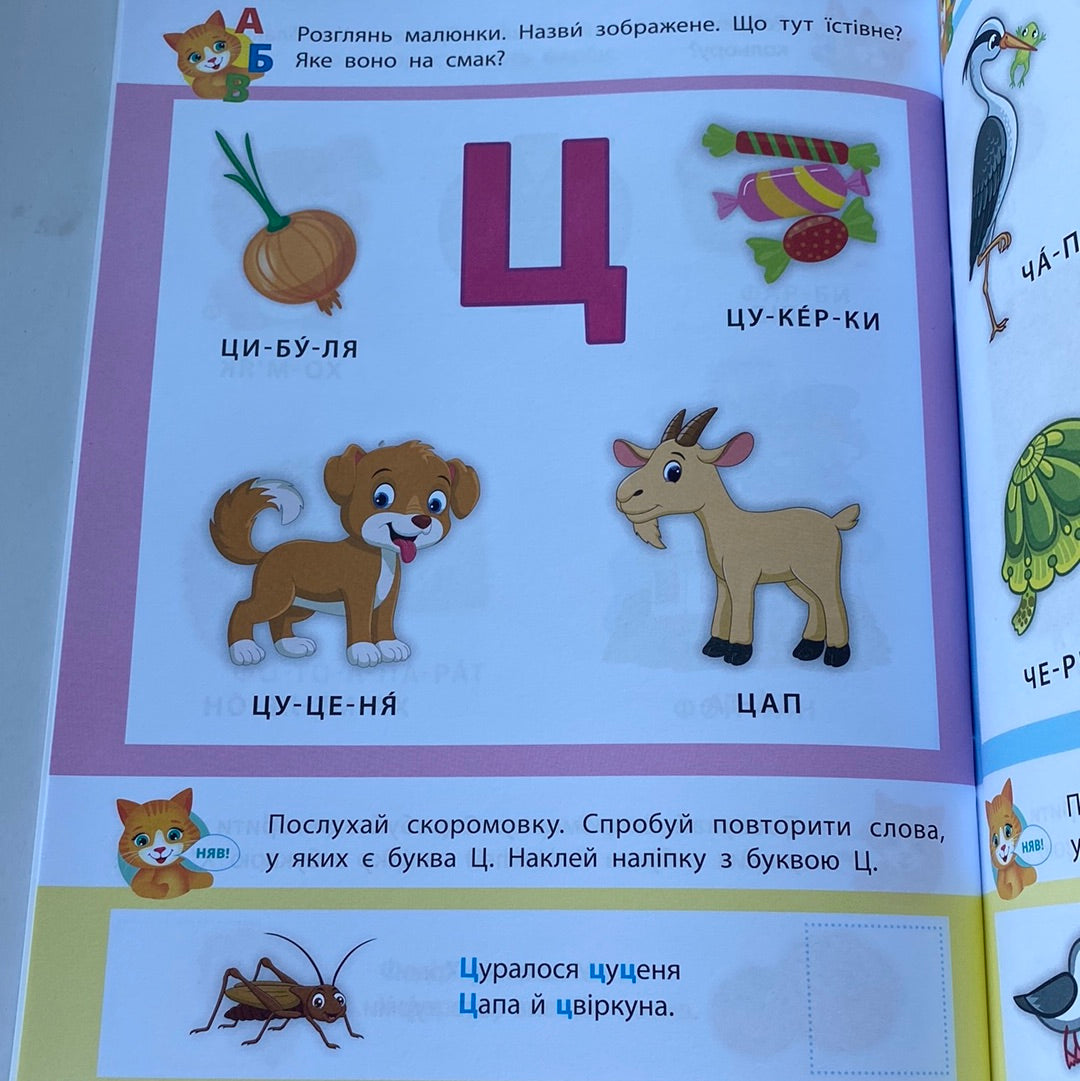 Річний курс завдань та вправ. Академія дошкільних наук. 2-3 роки / Книги для навчання та розвитку для малят