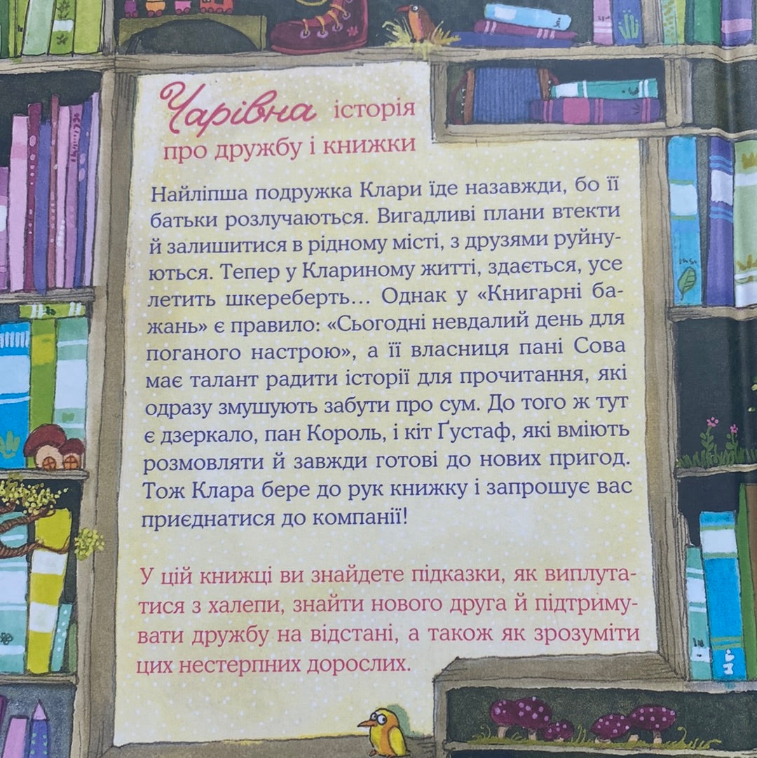 Чарівна книгарня бажань. Катя Фріксе / Книги для дітей в США