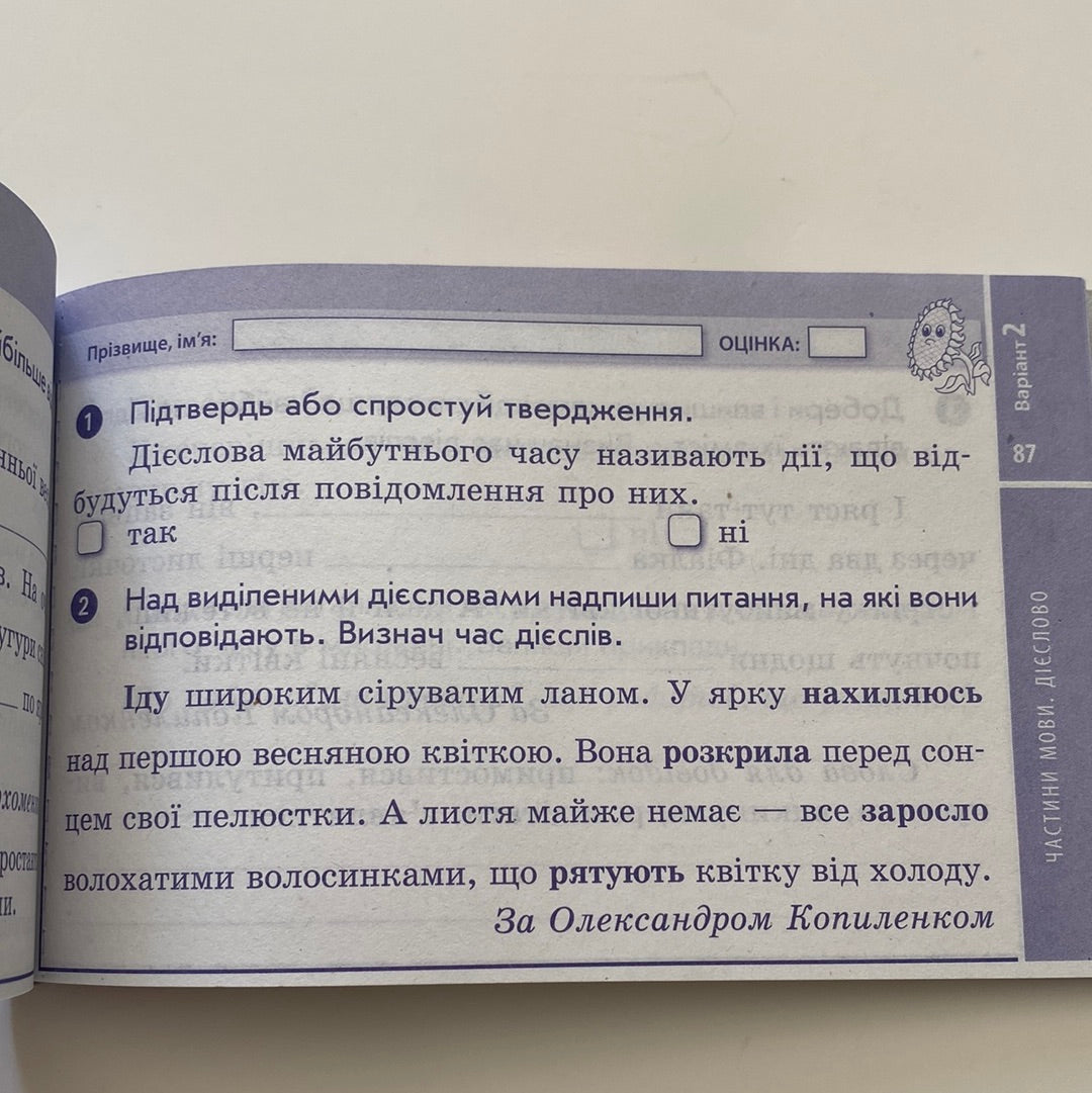 Українська мова. Експрес-контроль. Відривні картки. 4 клас / Навчальні матеріали для вивчення української мови в США