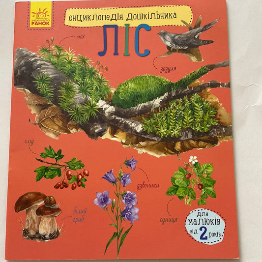 Ліс. Енциклопедія дошкільника / Пізнавальні книги для дітей