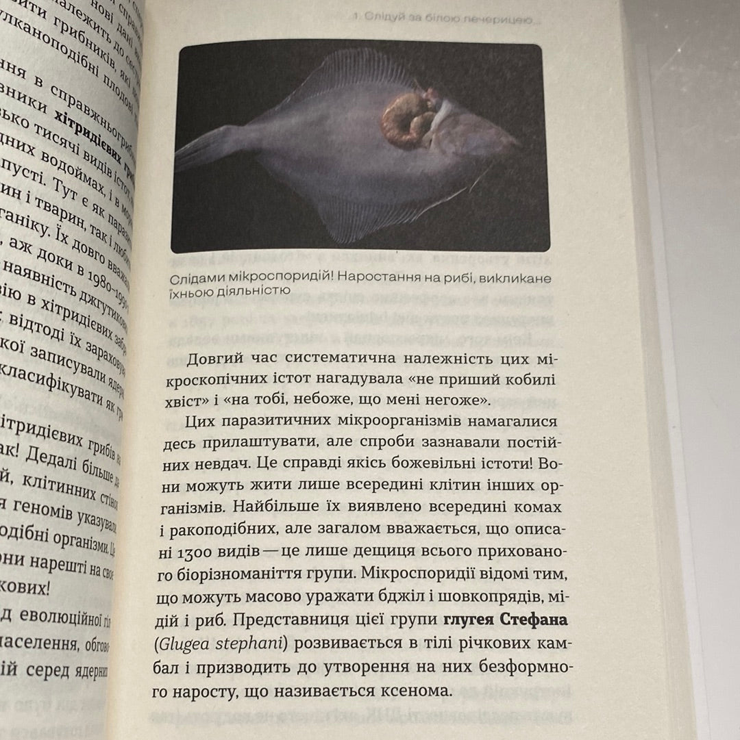 Планета грибів. Олексій Коваленко / Книги про популярну науку