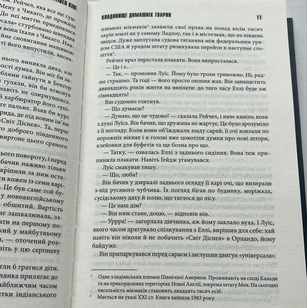 Кладовище домашніх тварин. Стівен Кінг / Світові бестселери та екранізації українською