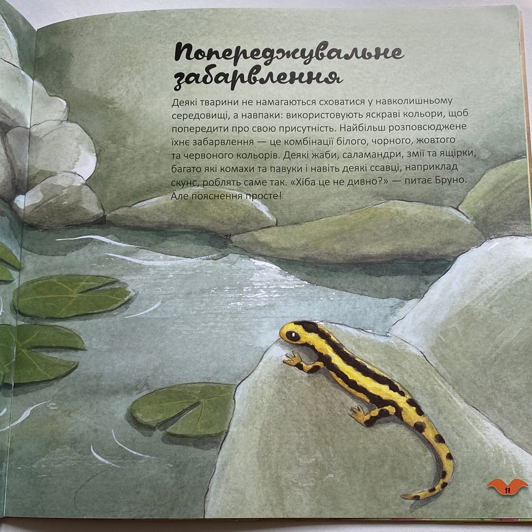 Кольори у світі тварин. Алехандро Альгарра / Пізнавальні книги для дітей українською