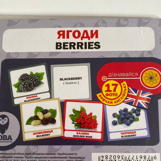 Ягоди. Berries. Двомовні картки / Картки Домана двомовні в США