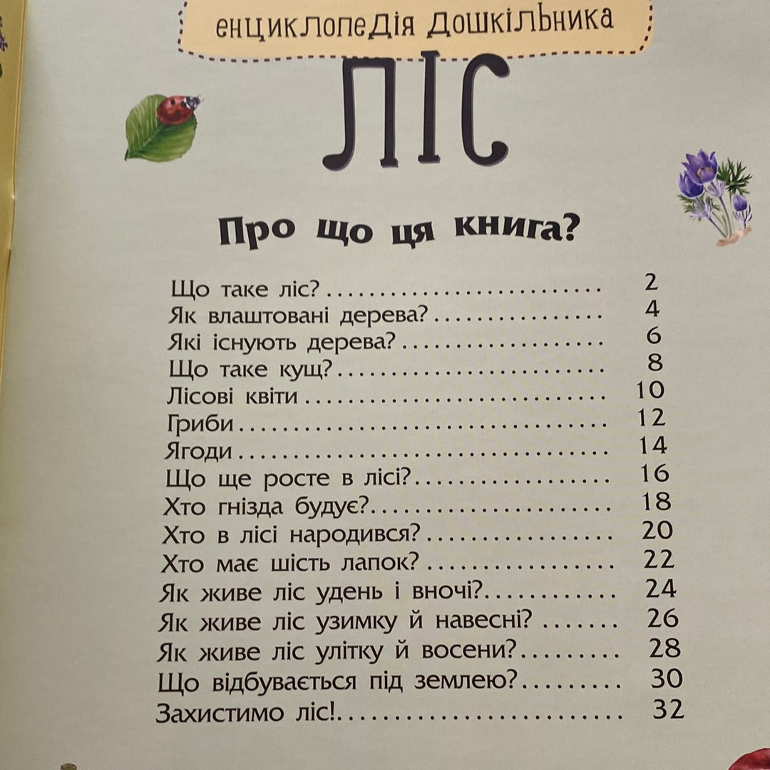 Ліс. Енциклопедія дошкільника / Пізнавальні книги для дітей