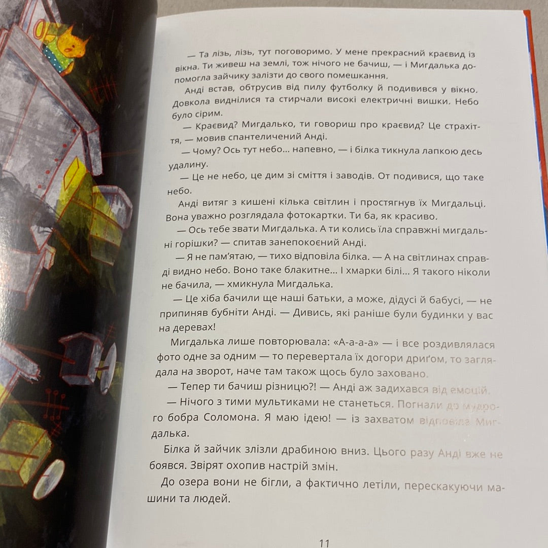 Чорниці для Анді. Христя Венгринюк / Книги про екологію для дітей