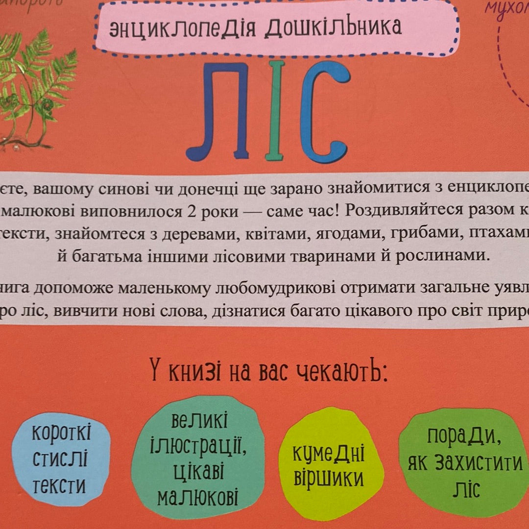 Ліс. Енциклопедія дошкільника / Пізнавальні книги для дітей