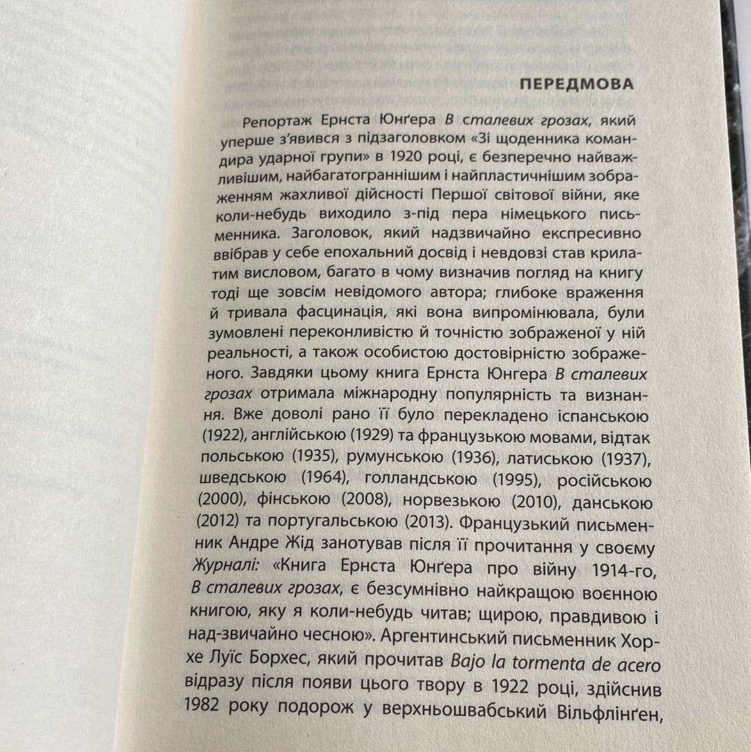 В сталевих грозах. Ернст Юнґер