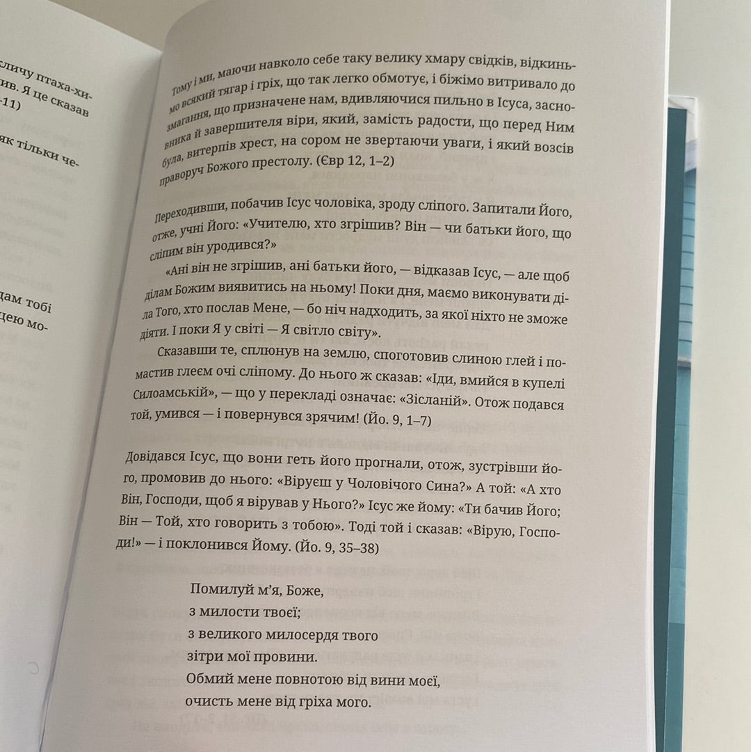 Усе мало би бути по-іншому. Ліза Теркерст / Бестселери New York Times українською