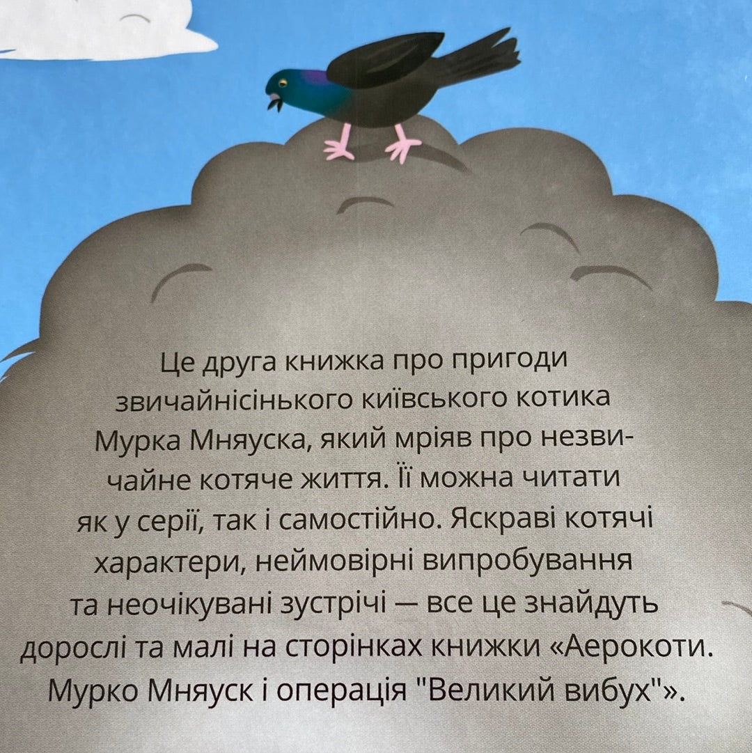 Аерокоти. Мурко Мняуск і операція «Великий вибух». Юлія Ілюха / Книги для дітей українською в США