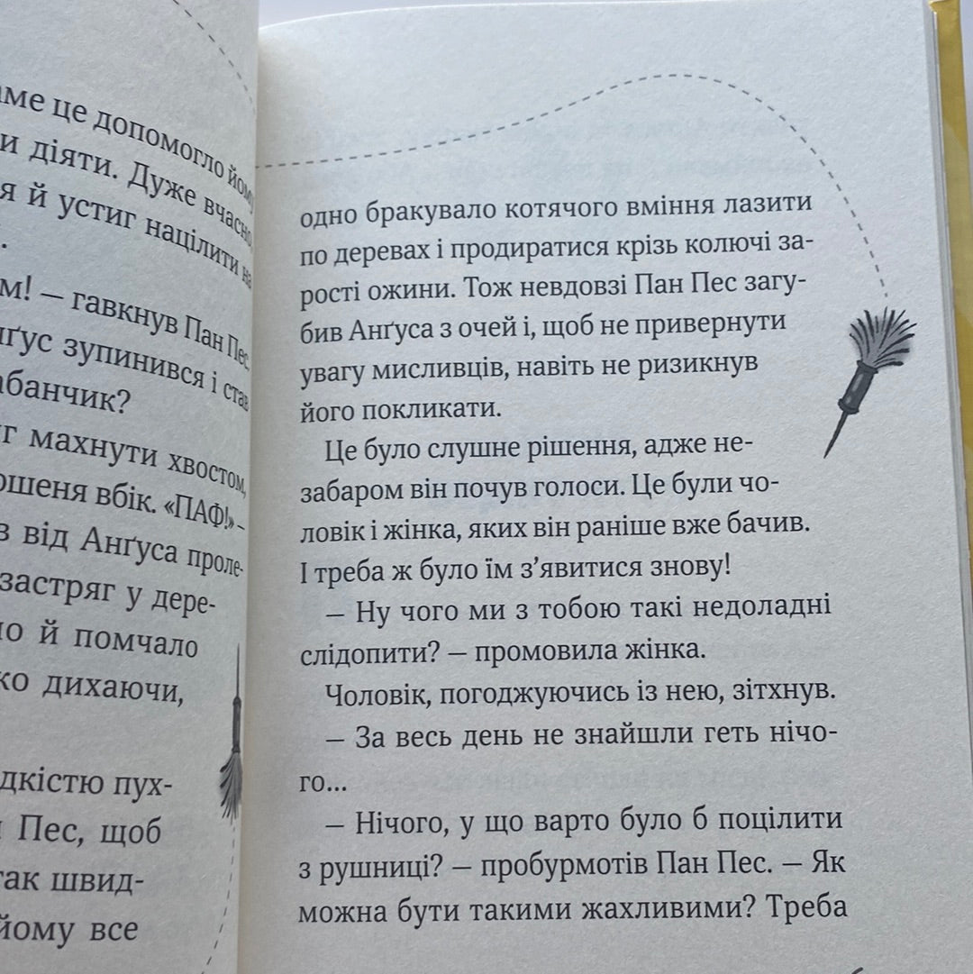 Пан Пес і Кіт зчиняють клопіт. Бен Фоґл, Стів Коул / Веселі книги для дітей українською