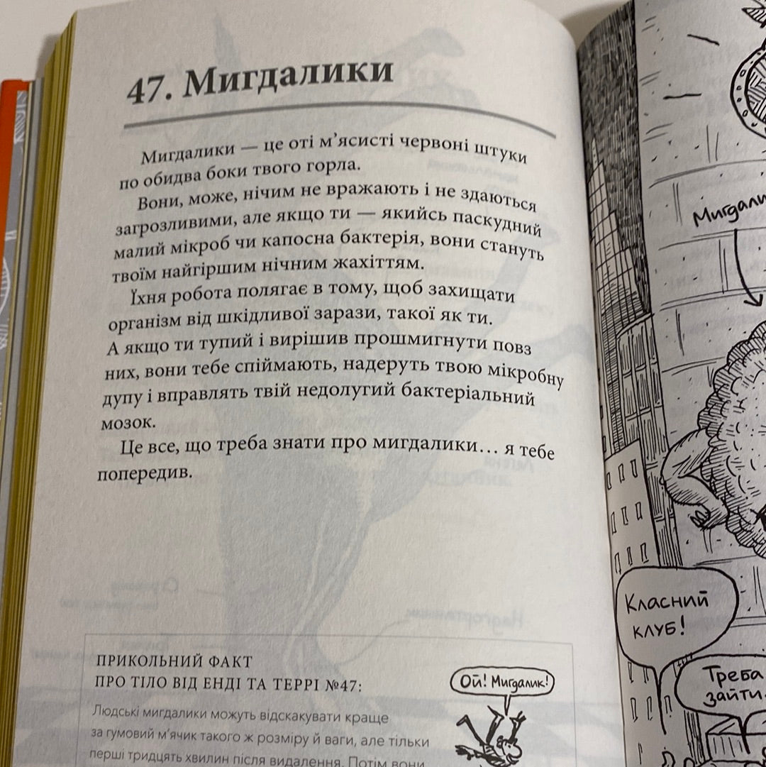 Що це за орган? Енді Ґріффітс / Кумедні книги для дітей українською