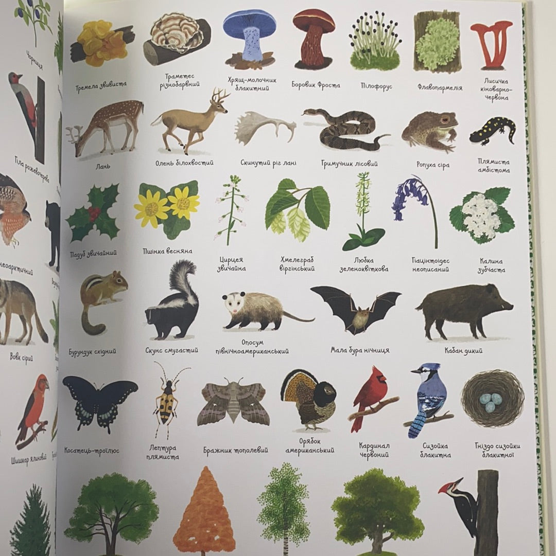 1000 назв природи. Енциклопедія для дітей
