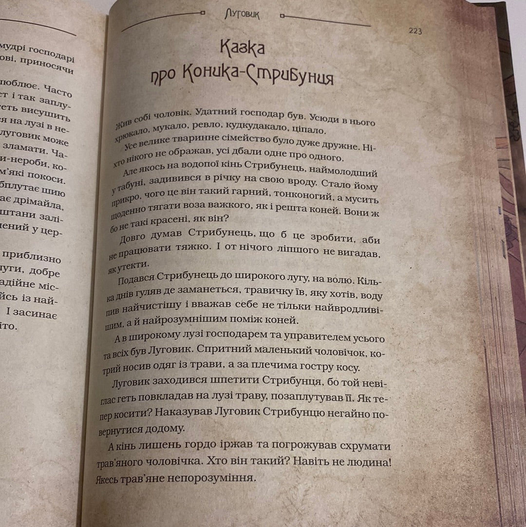 Чарівні істоти українського міфу. Духи природи. Дара Корній / Книги з української міфології