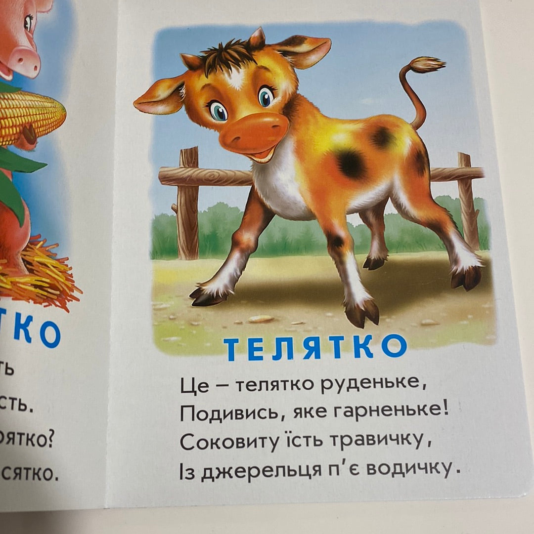 Хто це? Домашні тварини. Марія Морозенко / Книги для малюків українською в США