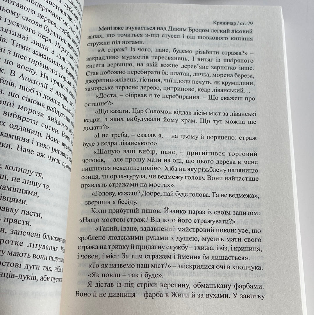 Криничар. Мирослав Дочинець / Важливі книги в США