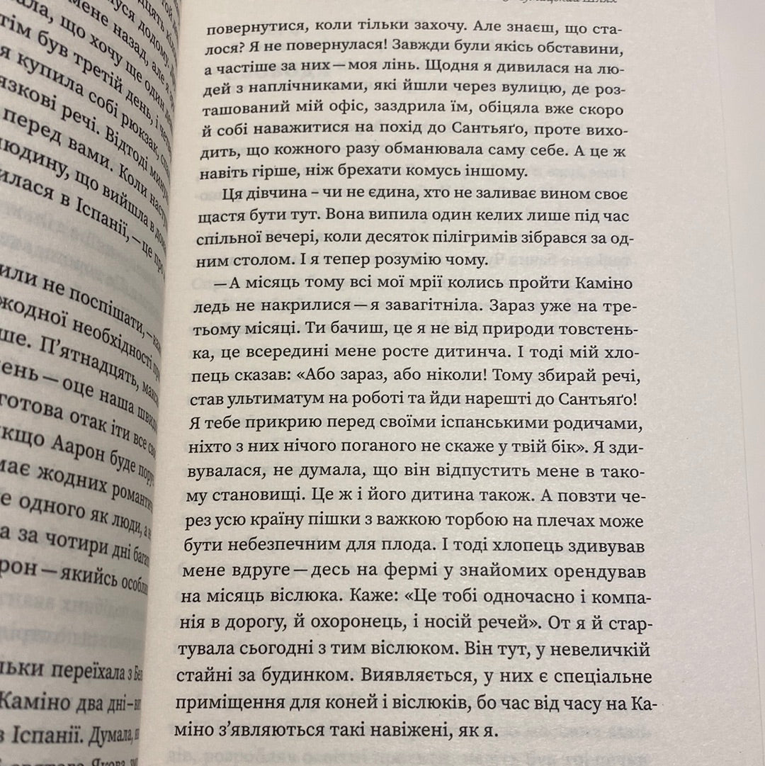 Найкраща книжка про Каміно: Історія дороги з тисячею імен. Максим Беспалов / Сусні мотиваційні книги від українських авторів