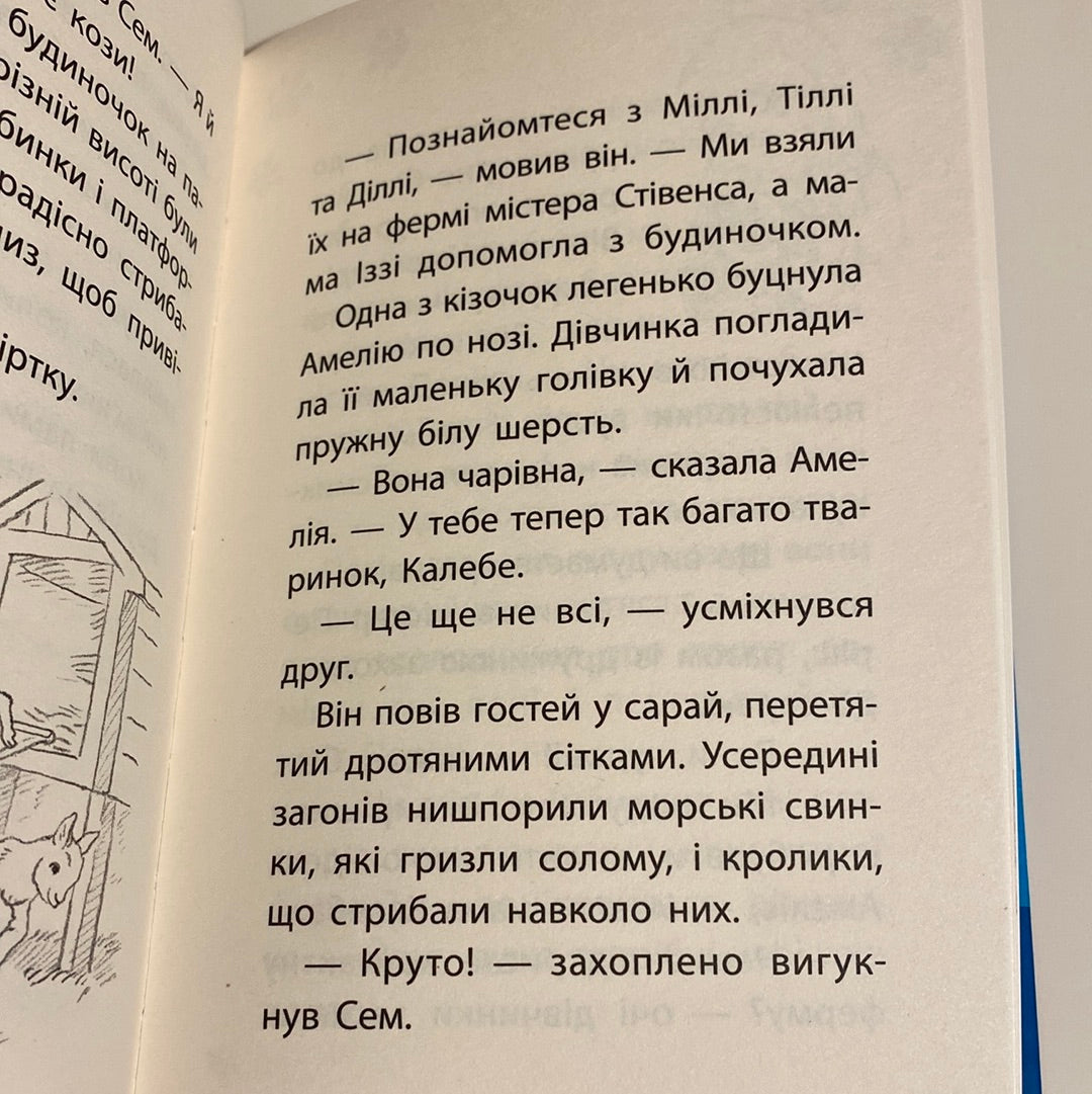 Самотній поні. Історії порятунку. Люсі Деніелс / Книги про тварин та добро для дітей