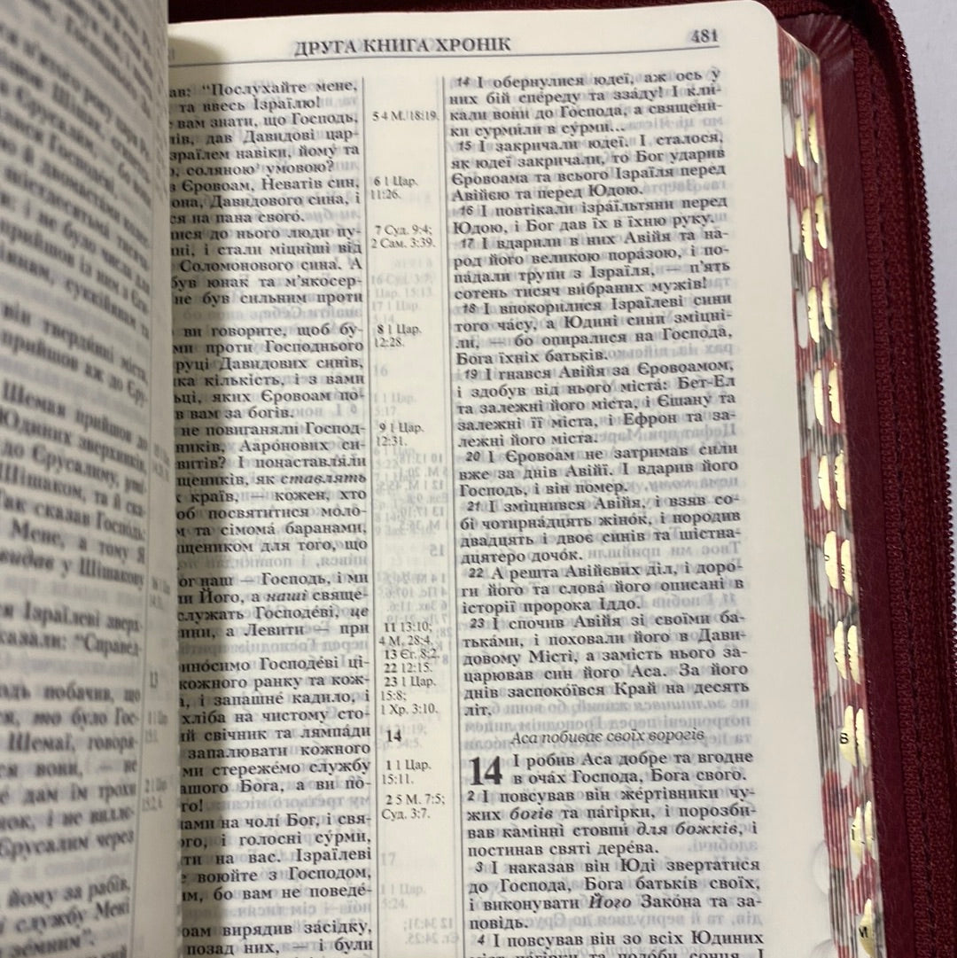 Біблія (червона обкладинка з трояндами, малий формат) / Ukrainian Bible in USA