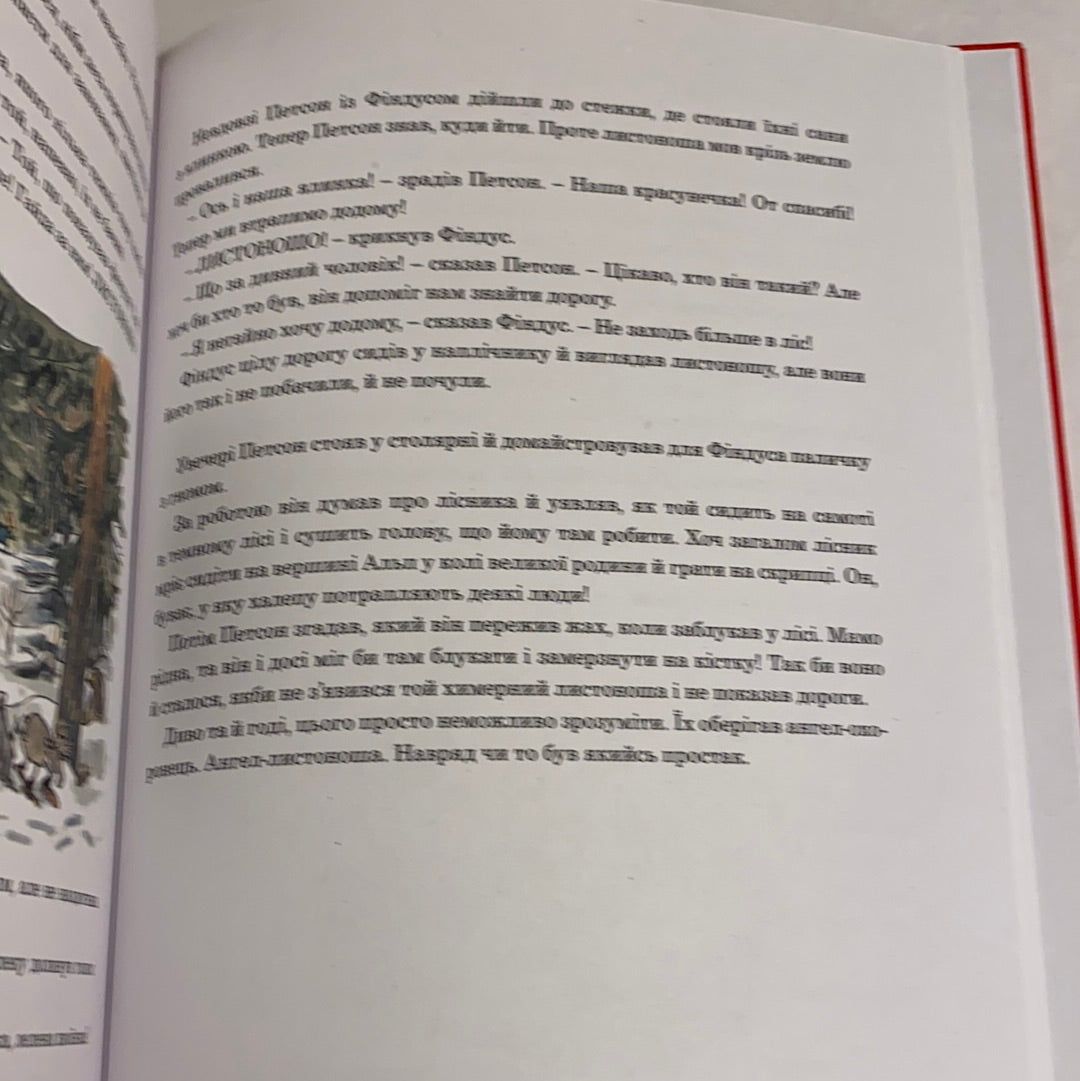 Різдвяний гном. Пригоди Петсона та Фіндуса. Свен Нордквіст / Найкращі дитячі книги українською