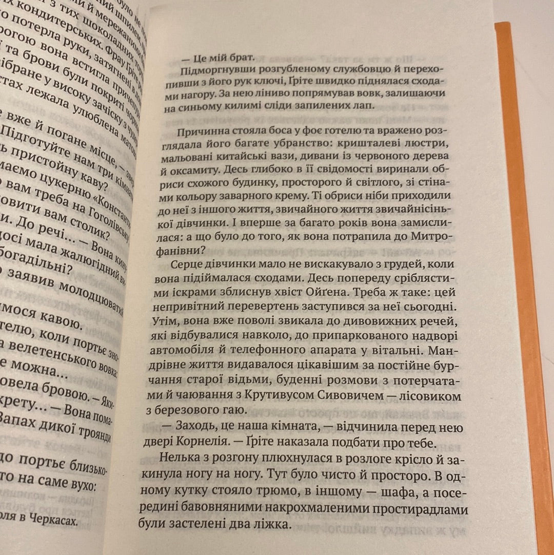 Мандрівний цирк Сріблястої пані. Наталія Довгопол / Книги для підлітків від українських авторів в США