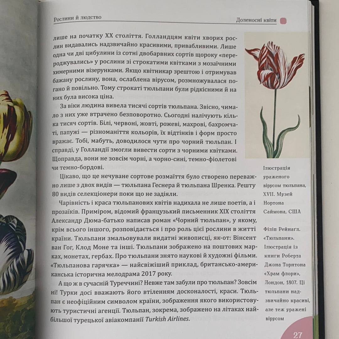 Зелений вінок планети. Рослини й людство. Кирило Булаховський / Ukrainian gift books for kids about plants and flowers