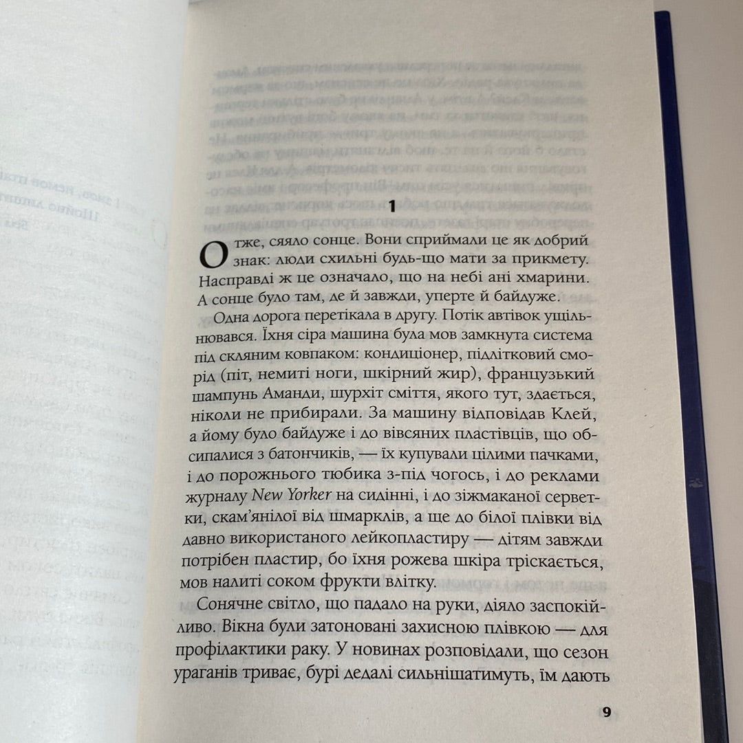 Ілюзія безпеки. Румаан Алам / Світові бестселери The New York Times українською в США