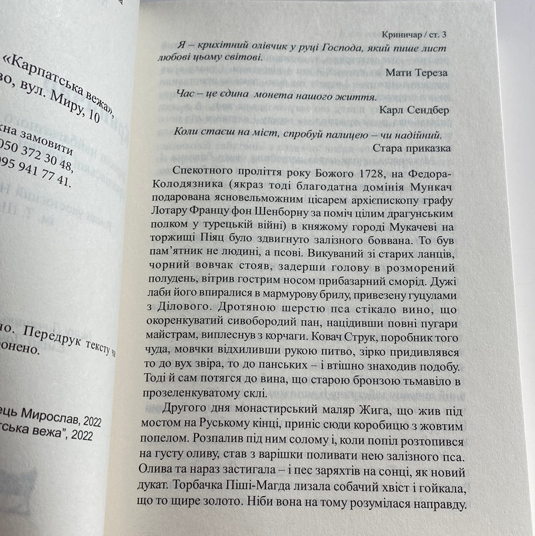 Криничар. Мирослав Дочинець / Важливі книги в США