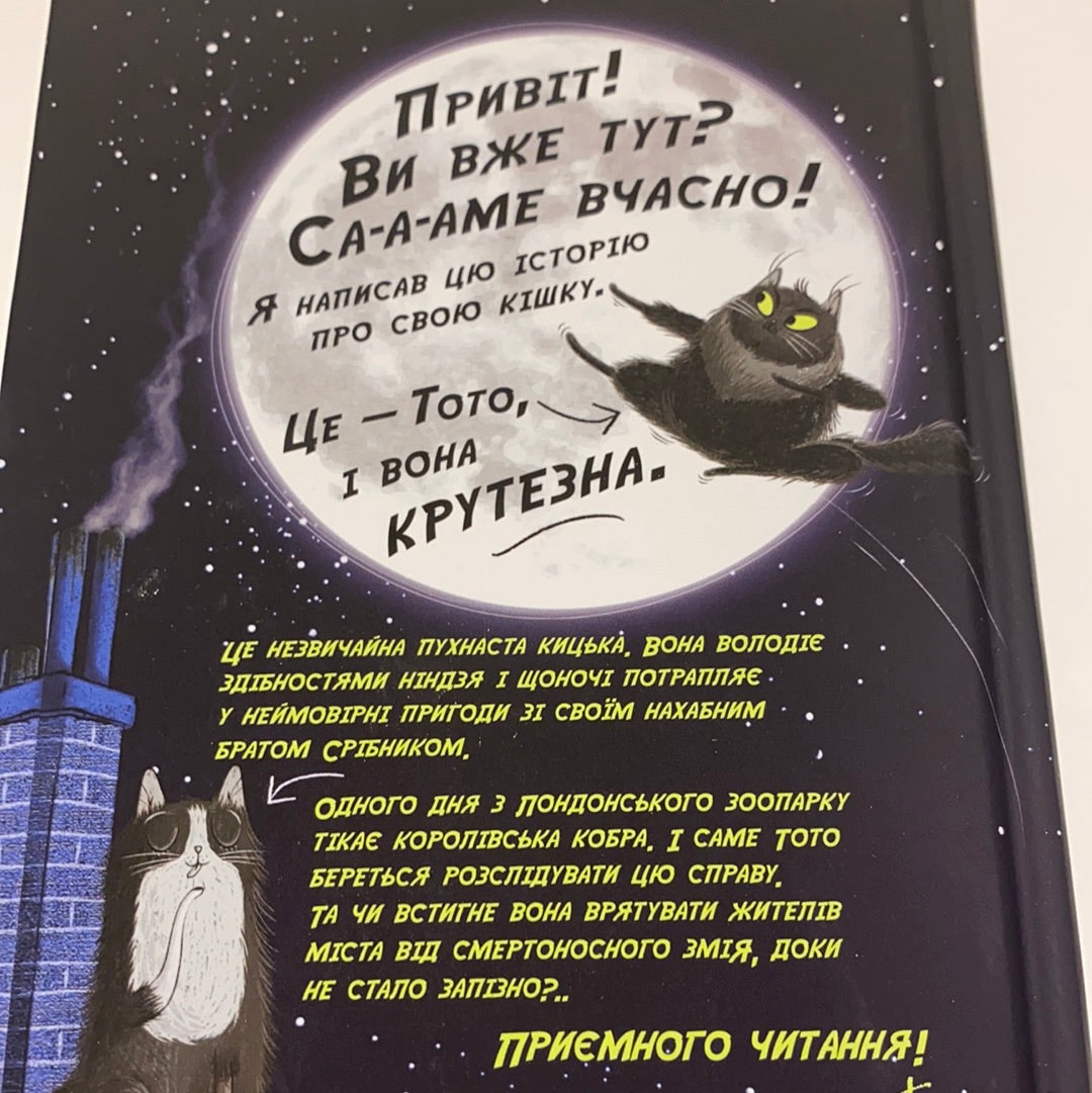 Тото. Кішка-ніндзя та велика втеча змія. Дермот О‘Лірі / Світова література для дітей українською