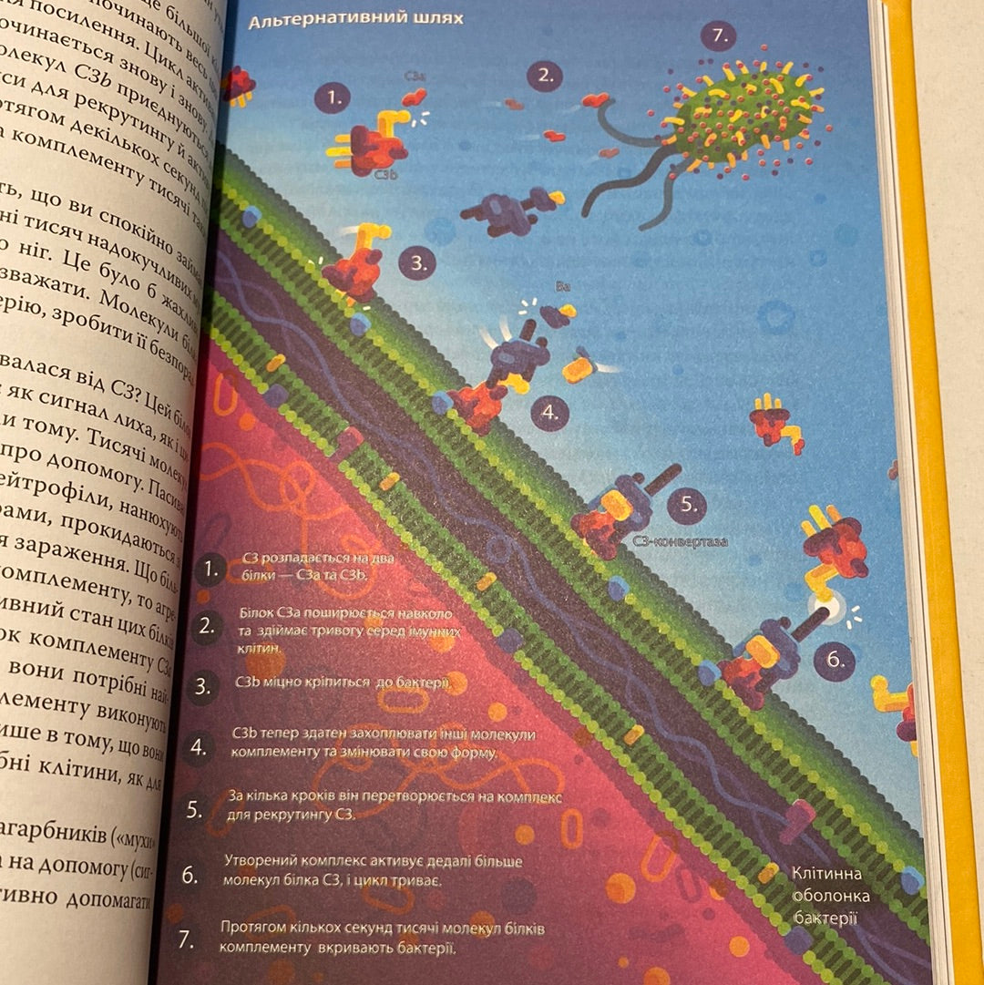Дивовижний імунітет. Про антитіла, інфекції та інші цікавинки імунної системи. Філіпп Деттмер / Популярна медицина українською в США