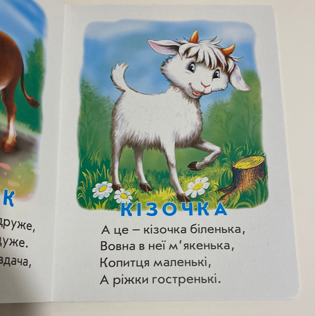 Хто це? Домашні тварини. Марія Морозенко / Книги для малюків українською в США