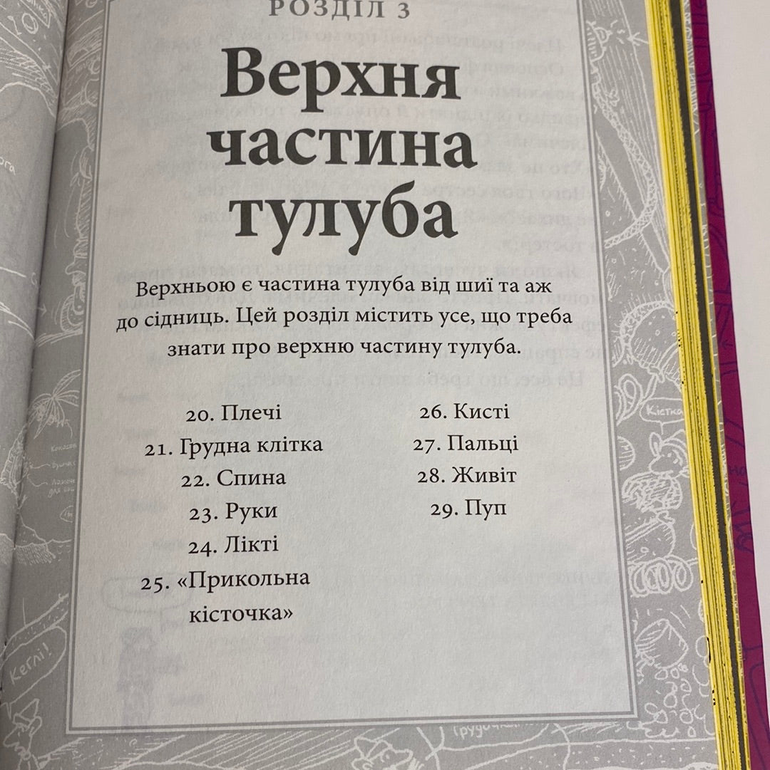 Що це за орган? Енді Ґріффітс / Кумедні книги для дітей українською